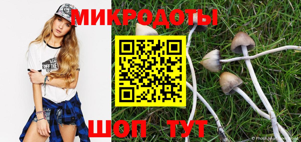 Галлюциногенные грибы Psilocybine cubensis Петропавловск-Камчатский